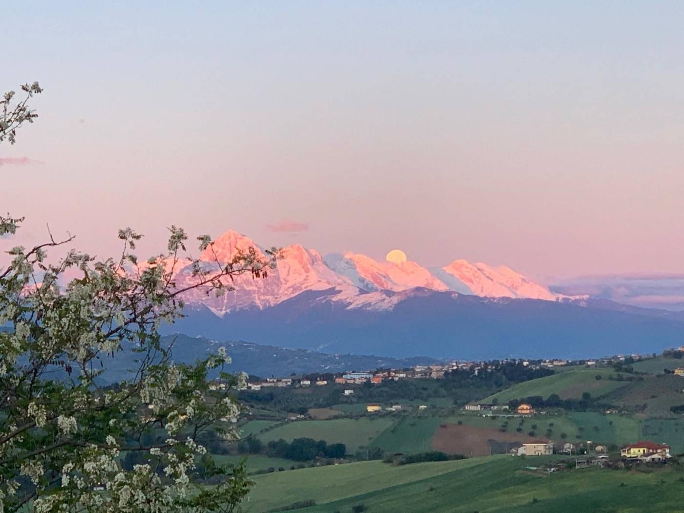 Vista
