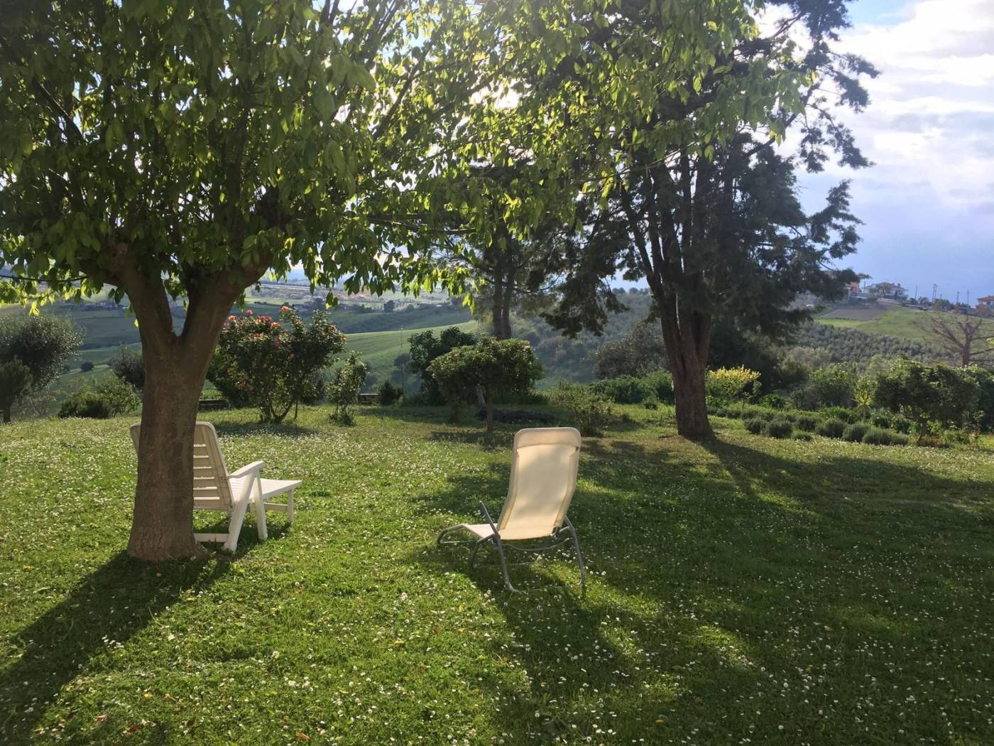 Giardino