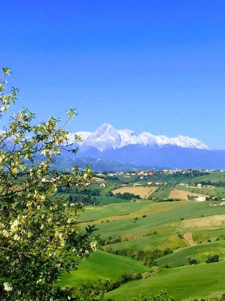 Vista