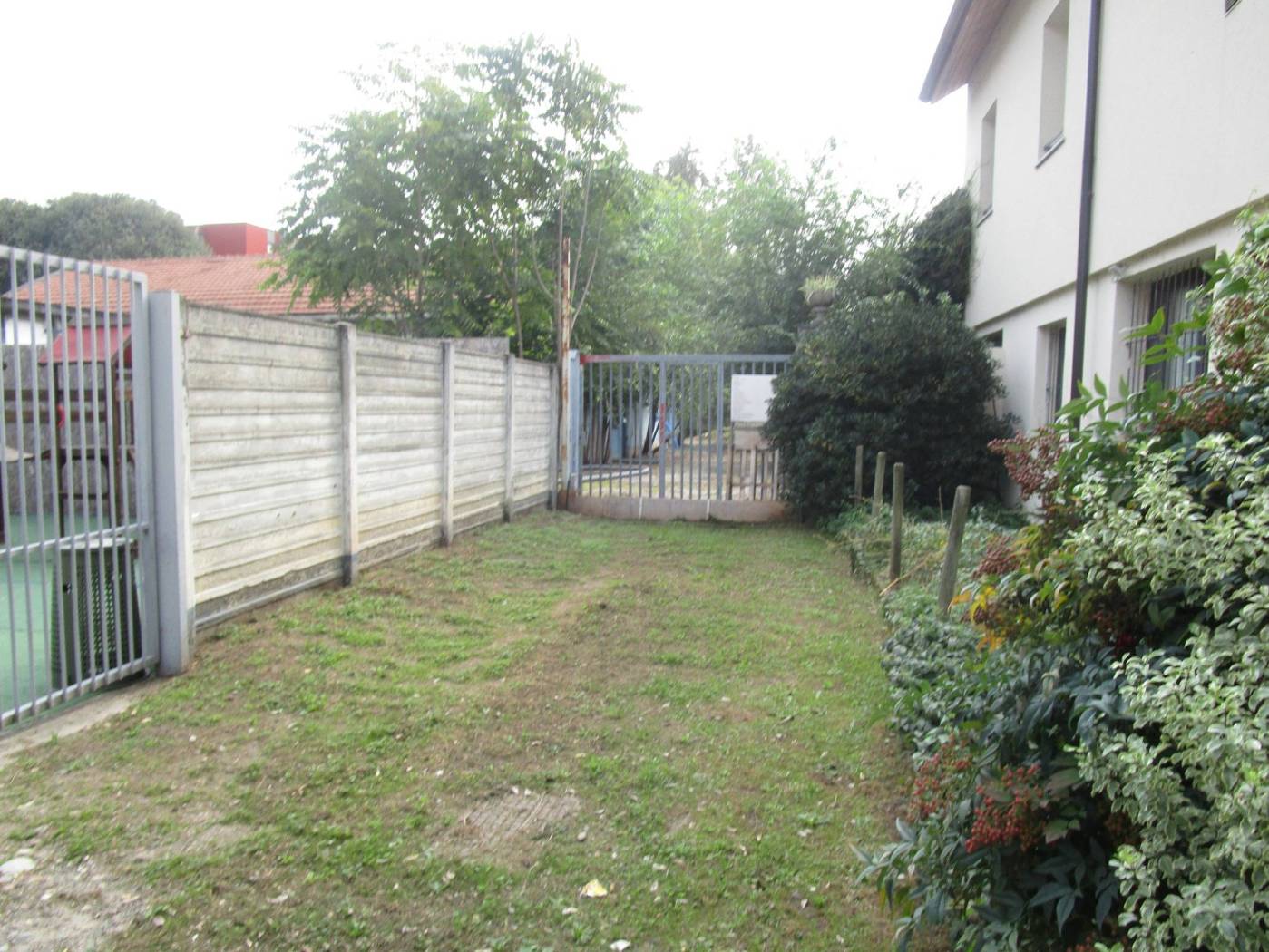 Ingresso