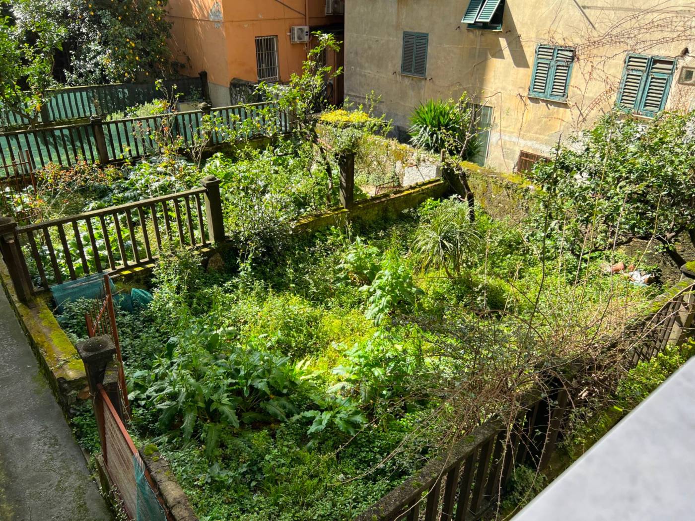 Giardino