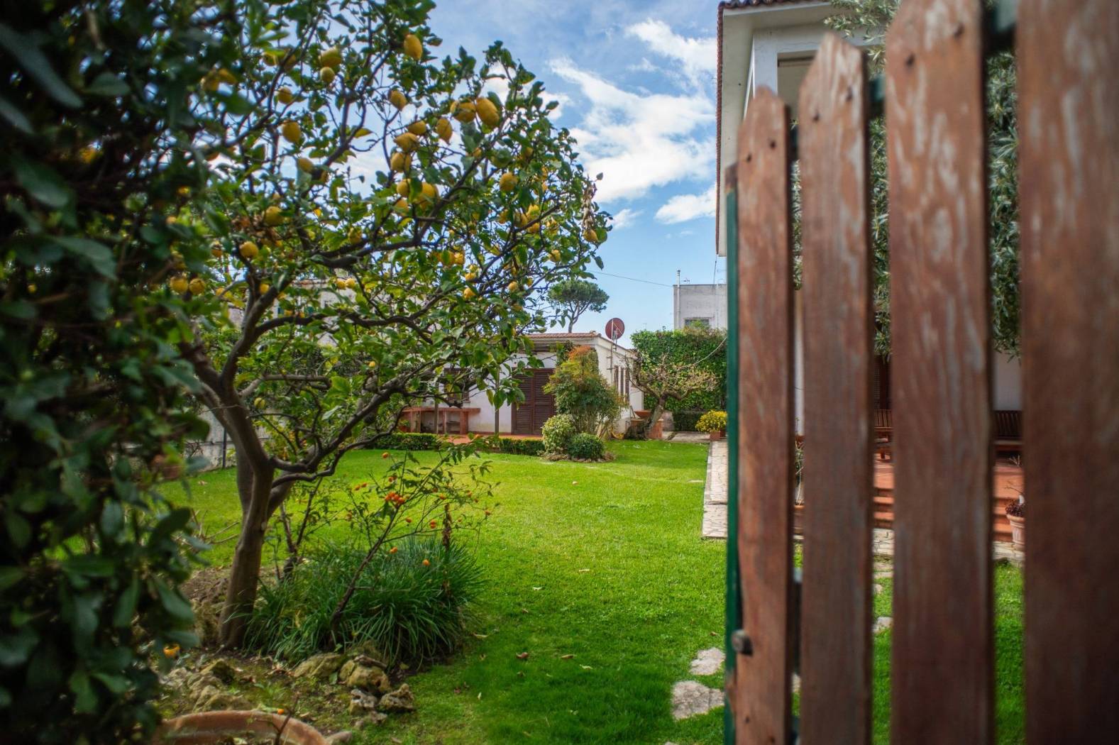Giardino