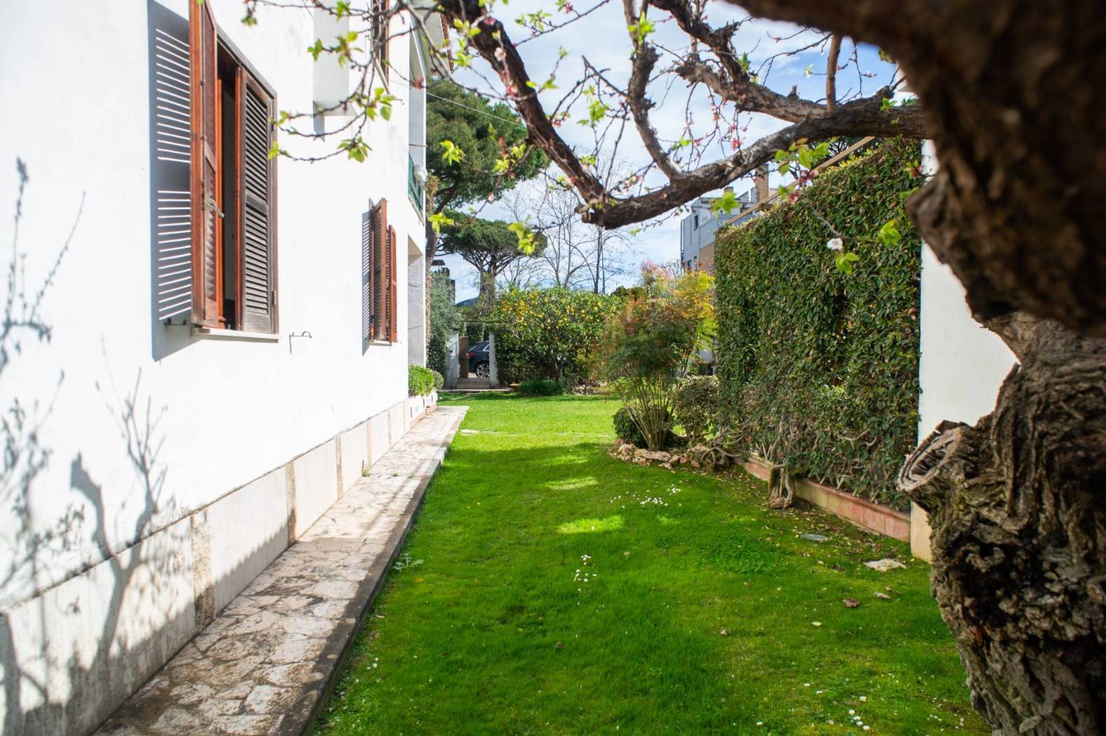 Giardino