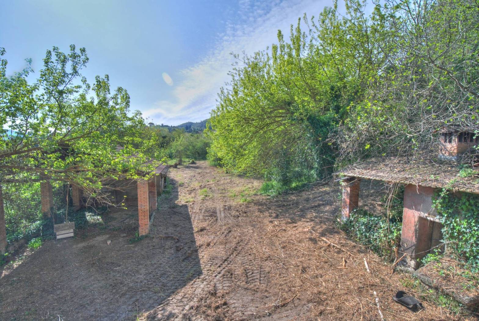 Terreno