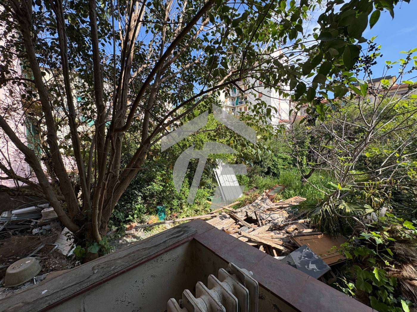 Giardino