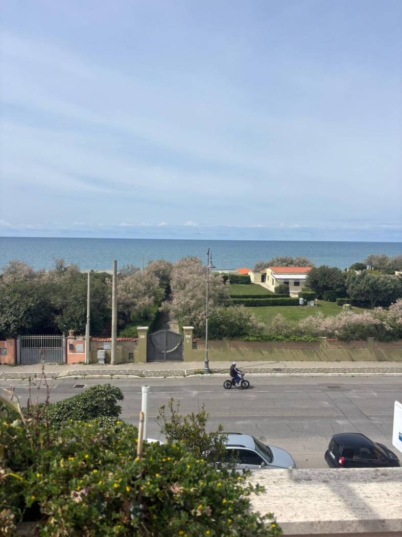 Vista