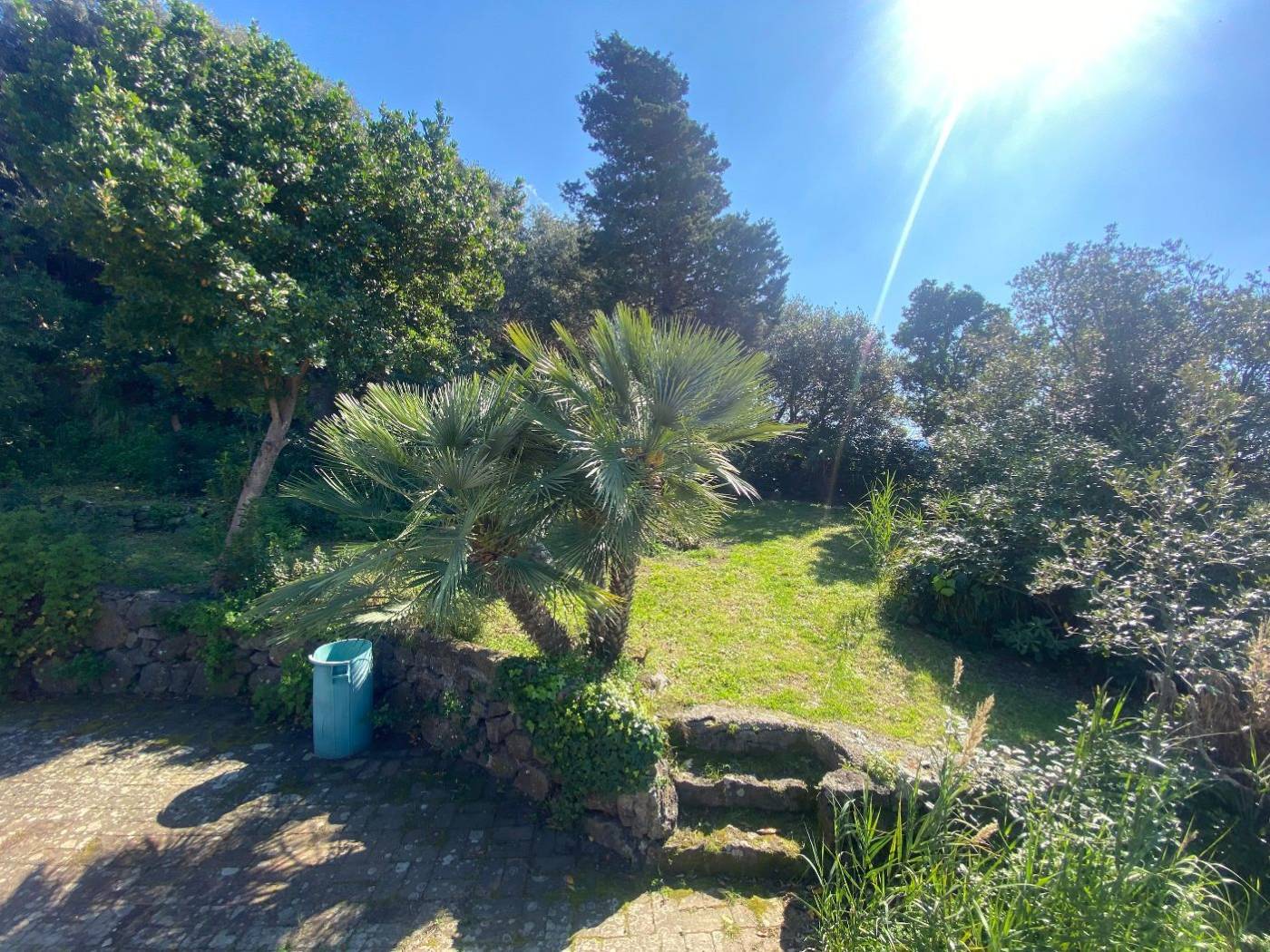 Giardino