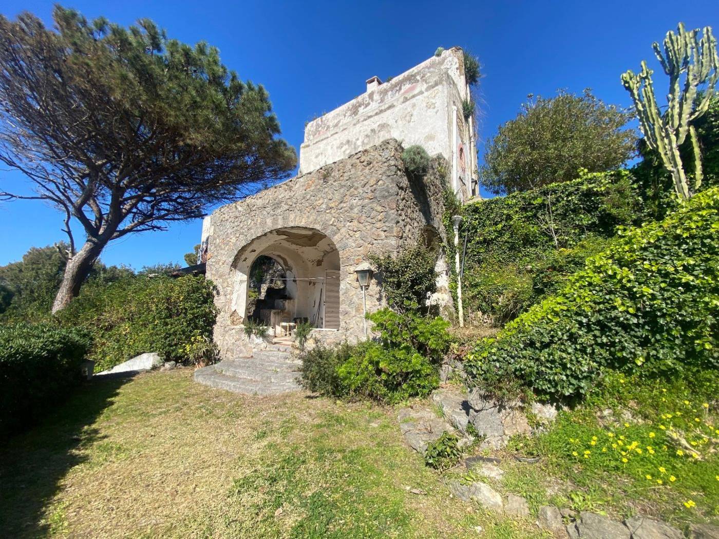 Giardino