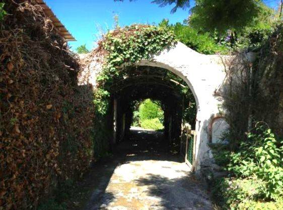 Giardino