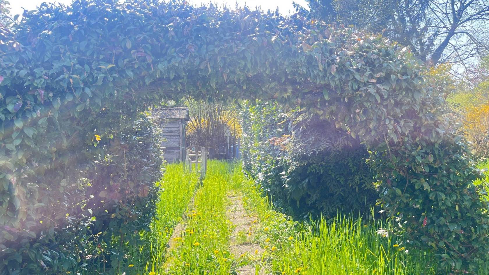 Giardino Giardino