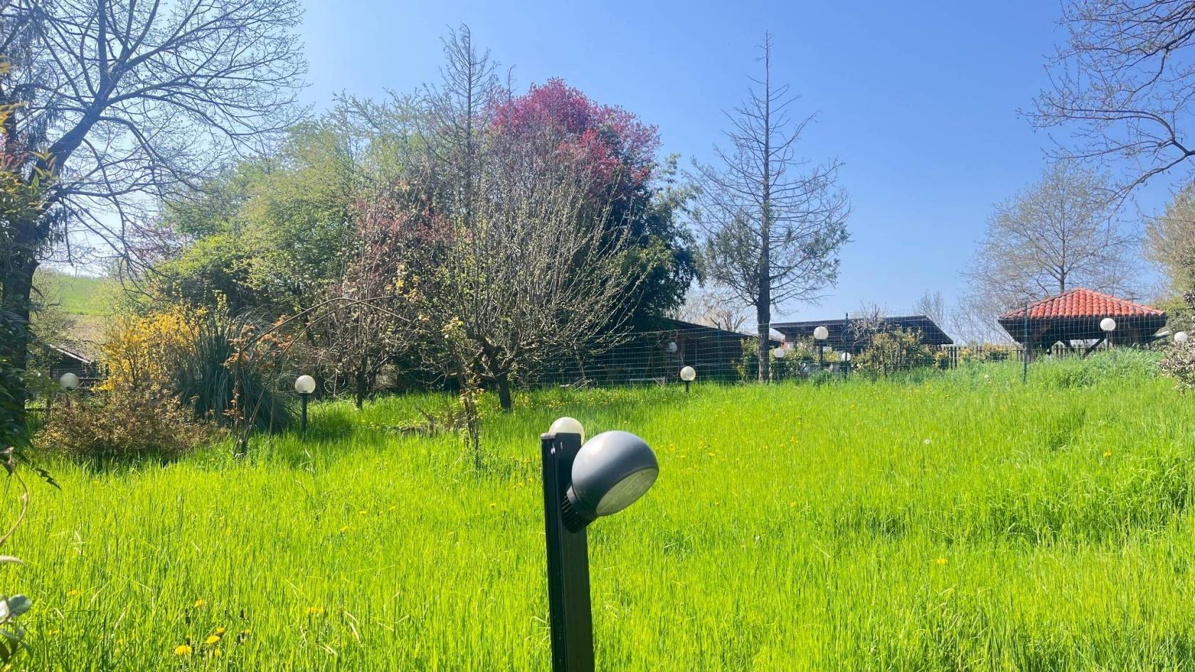 Terreno Terreno