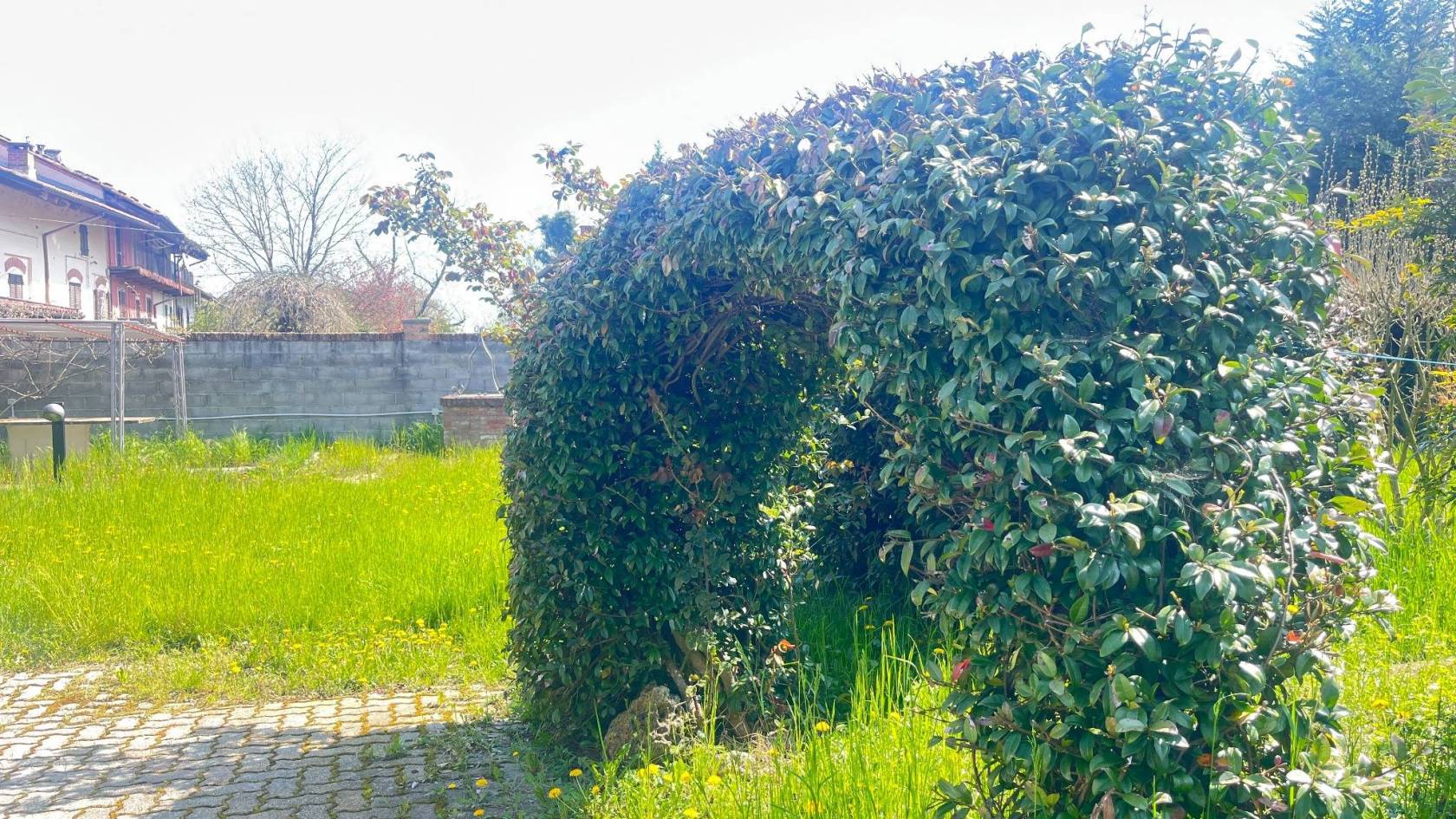 Giardino Giardino