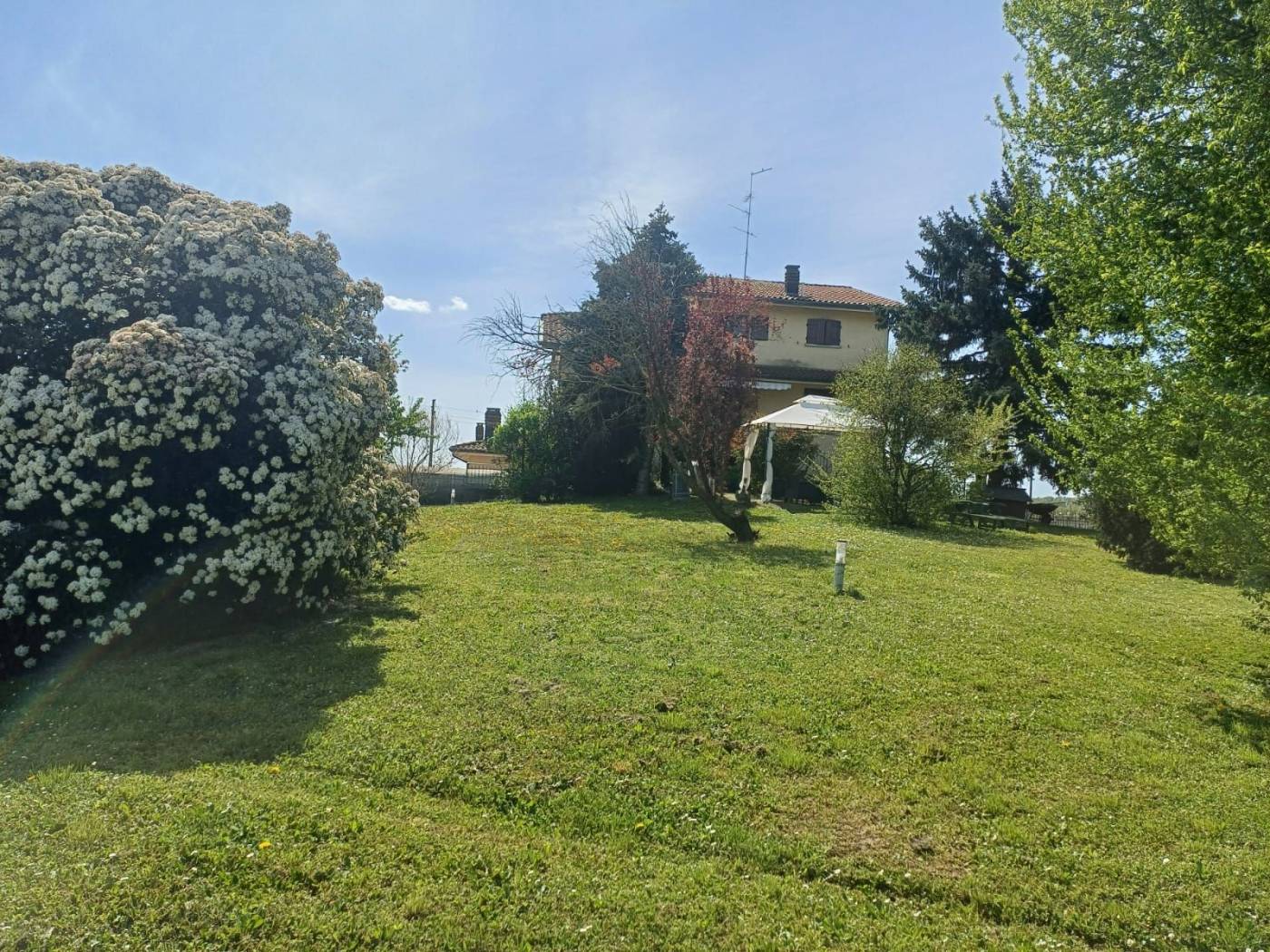 Terreno