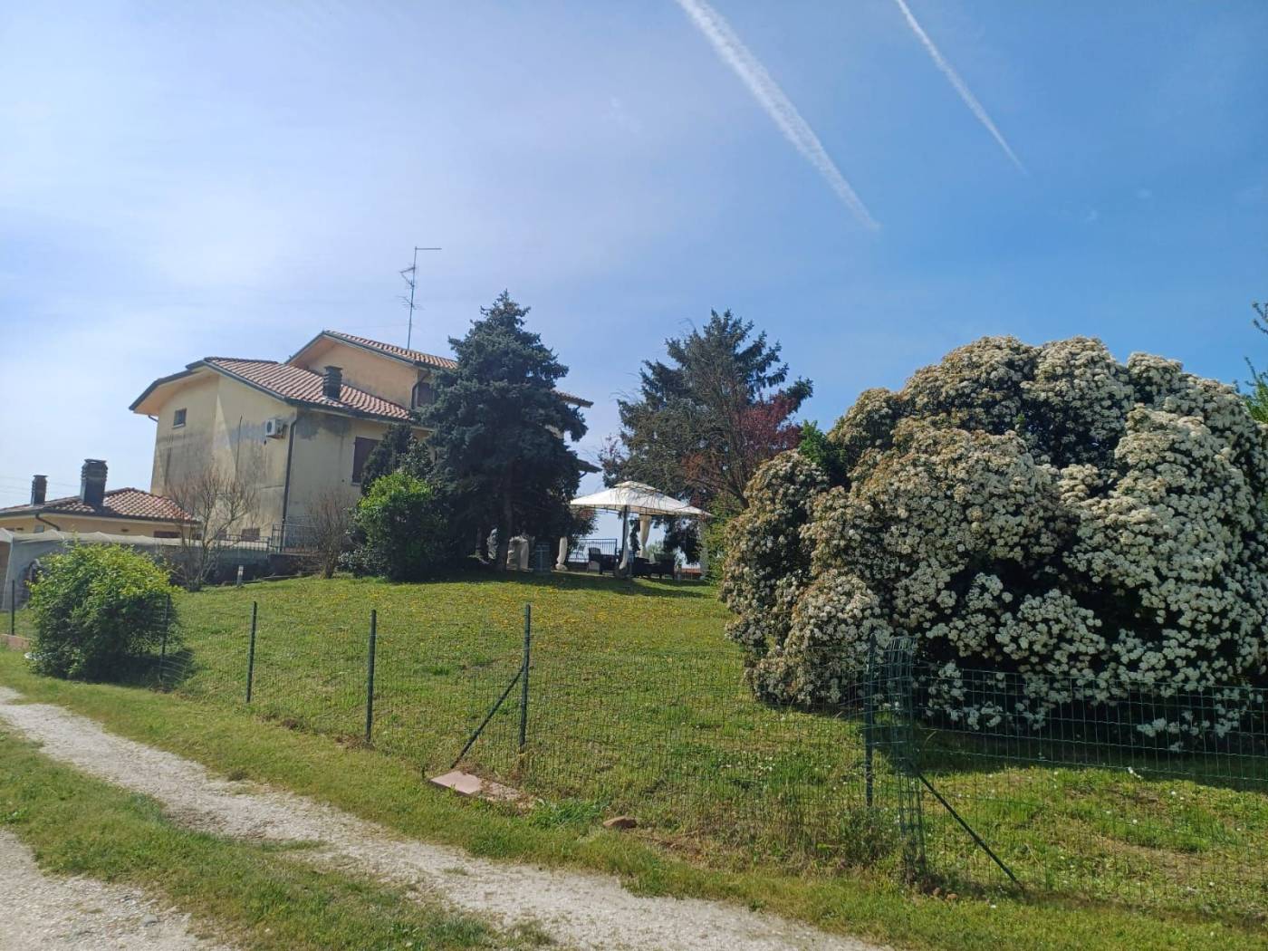 Terreno