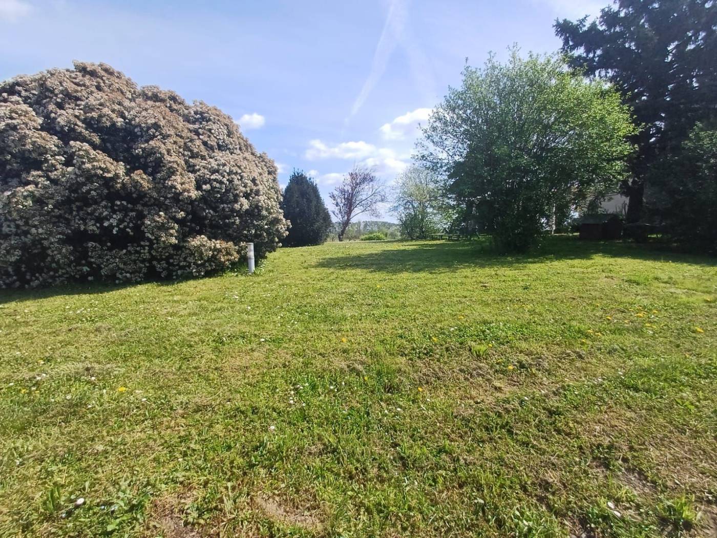 Terreno