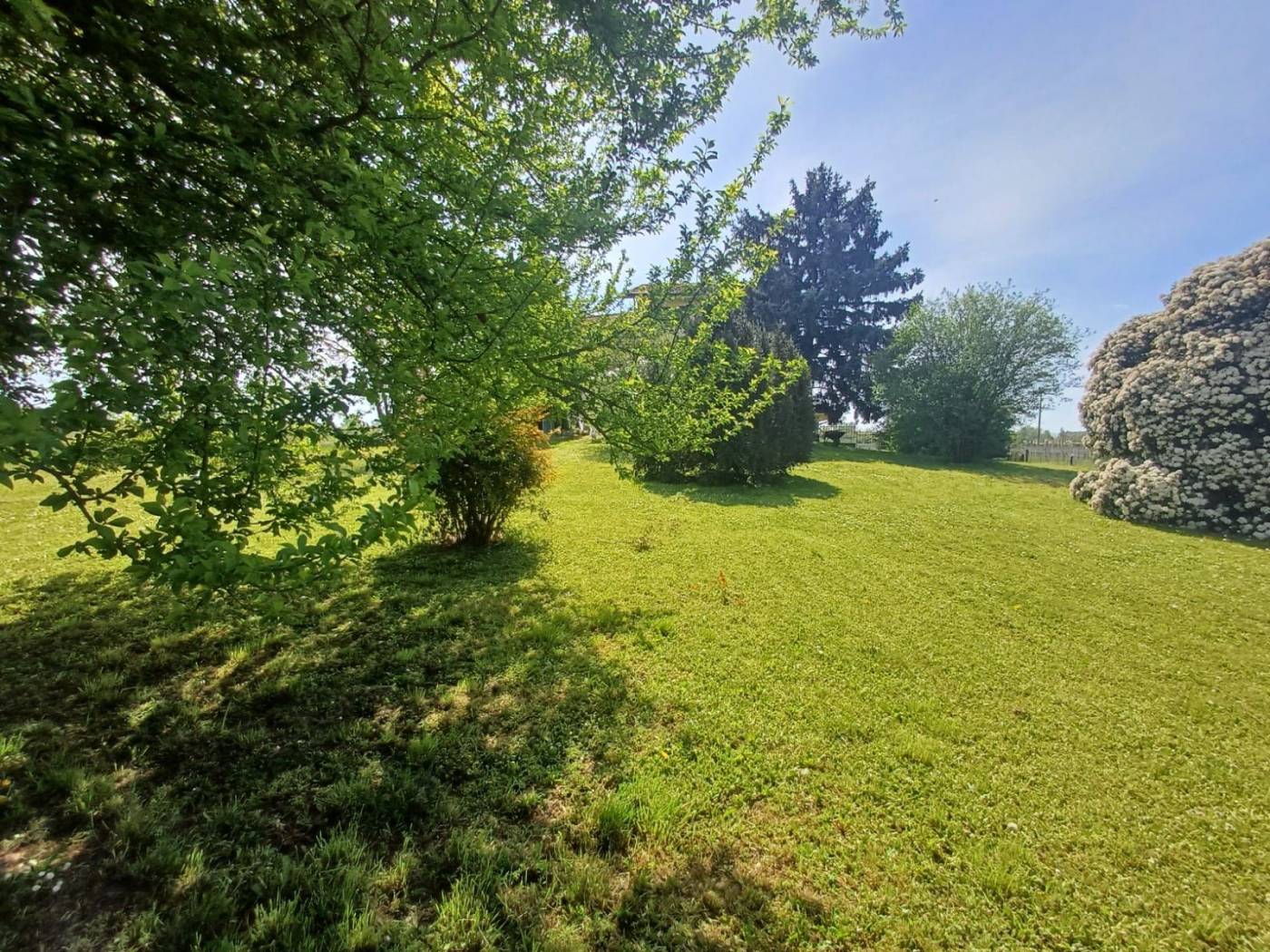 Terreno