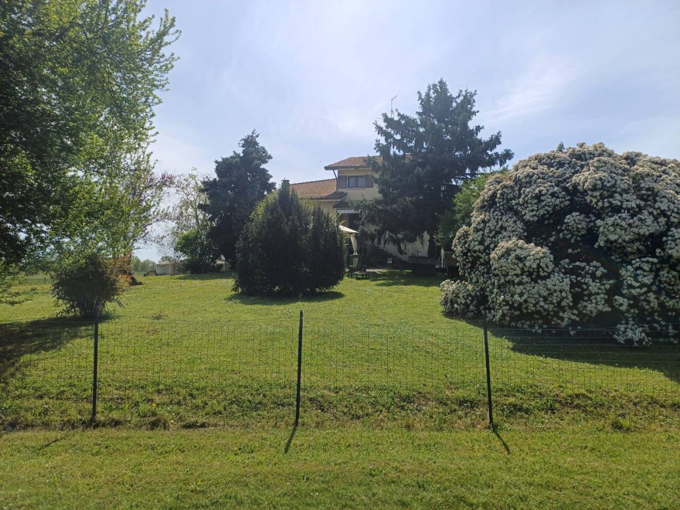 Terreno