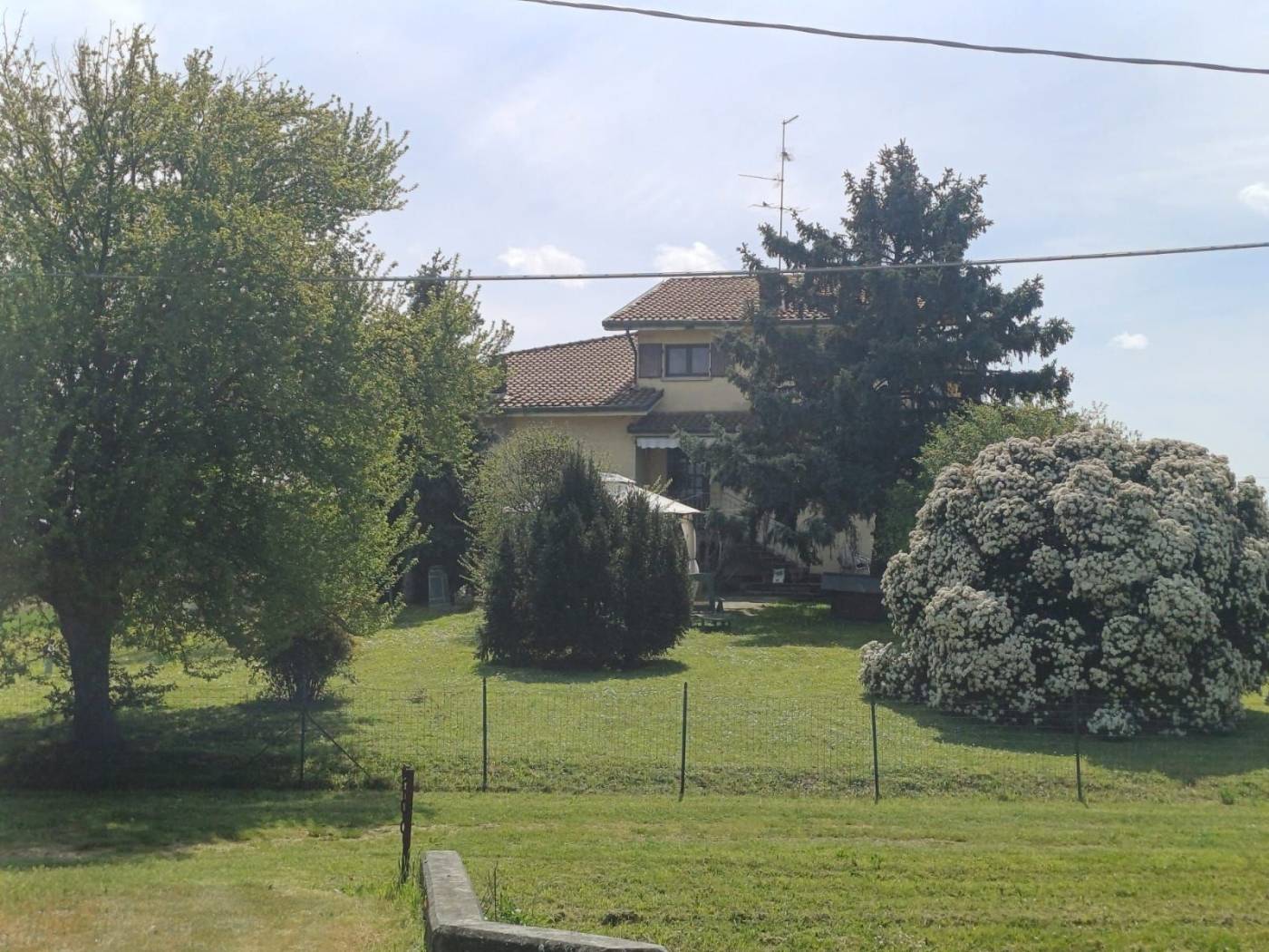 Vista