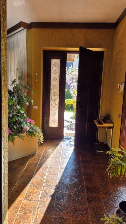 Ingresso