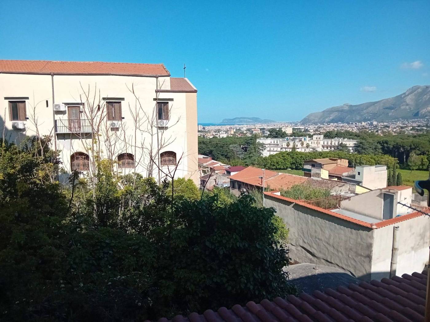 Vista