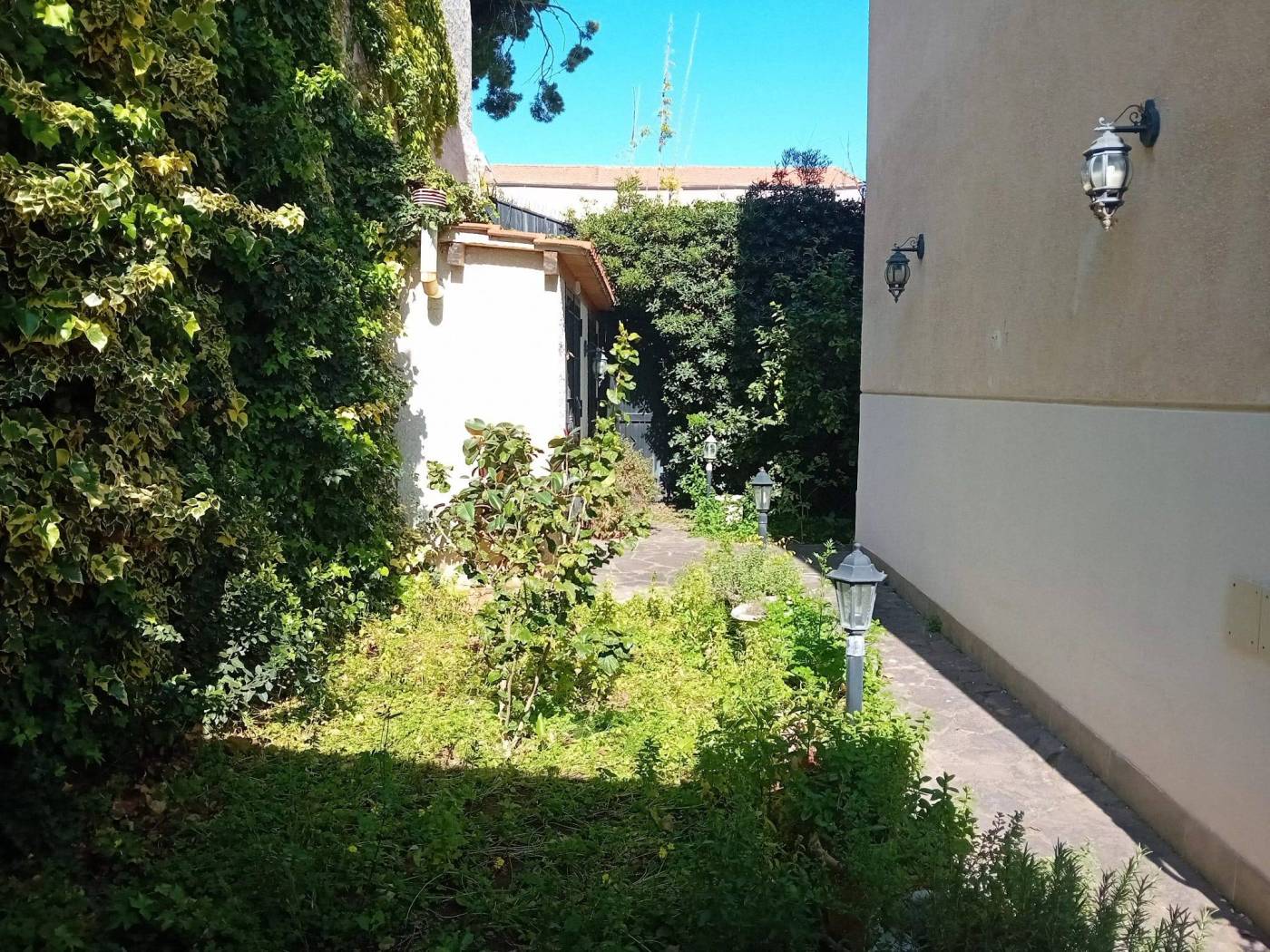 Giardino