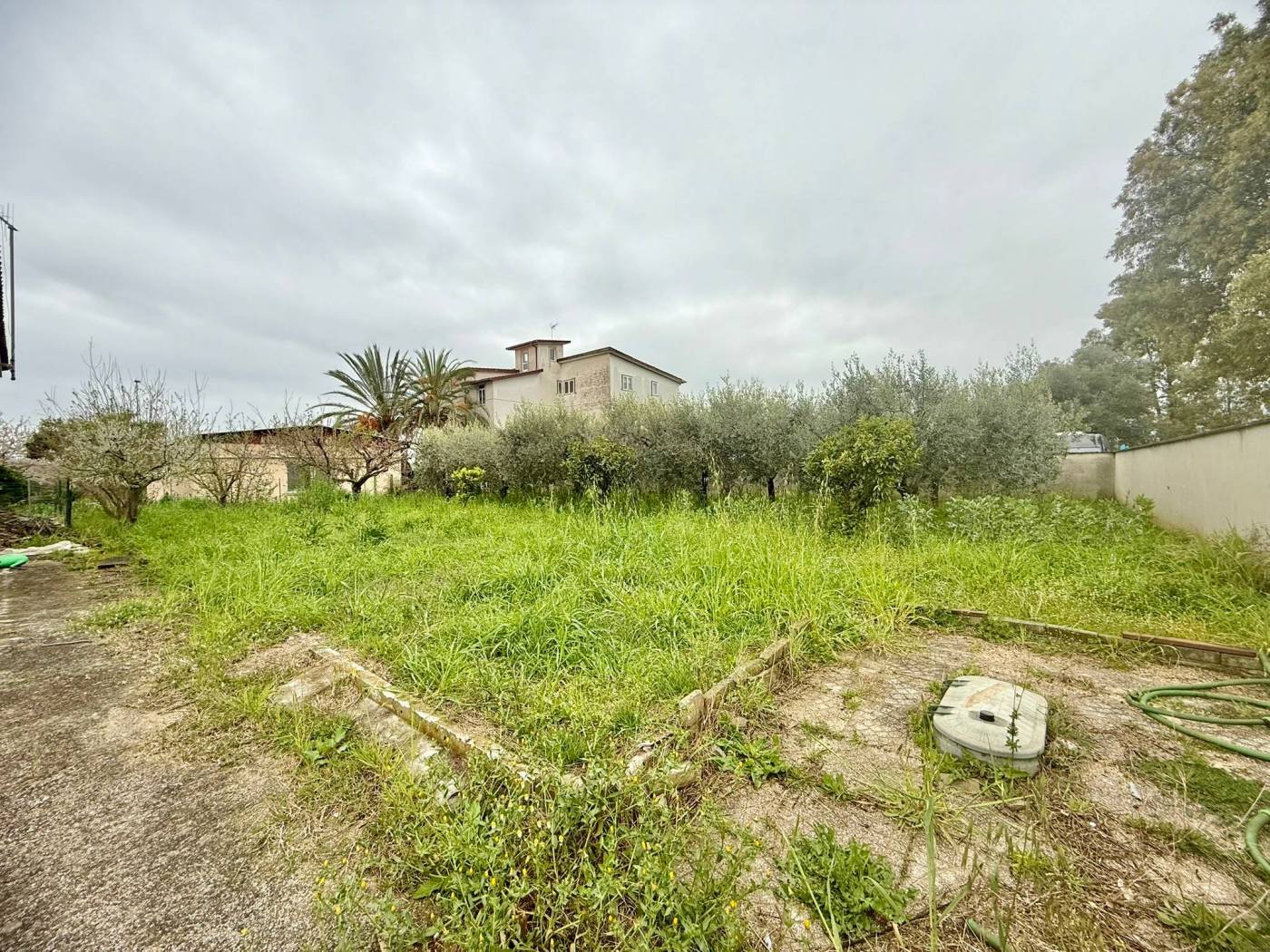 Giardino