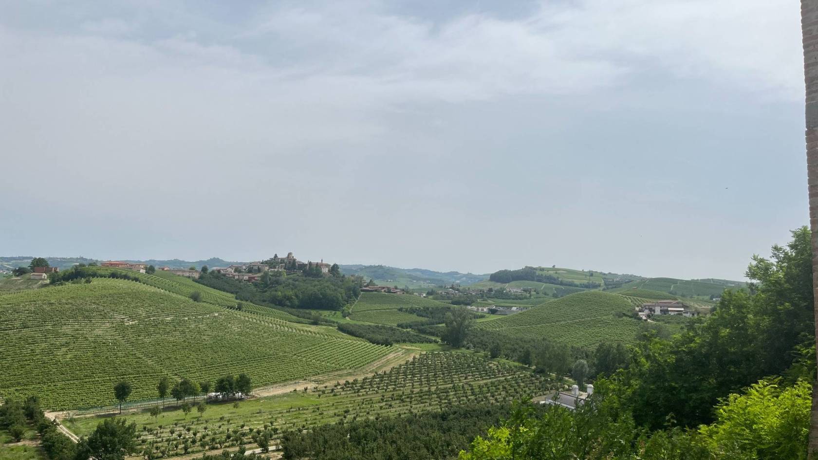 Vista Vista