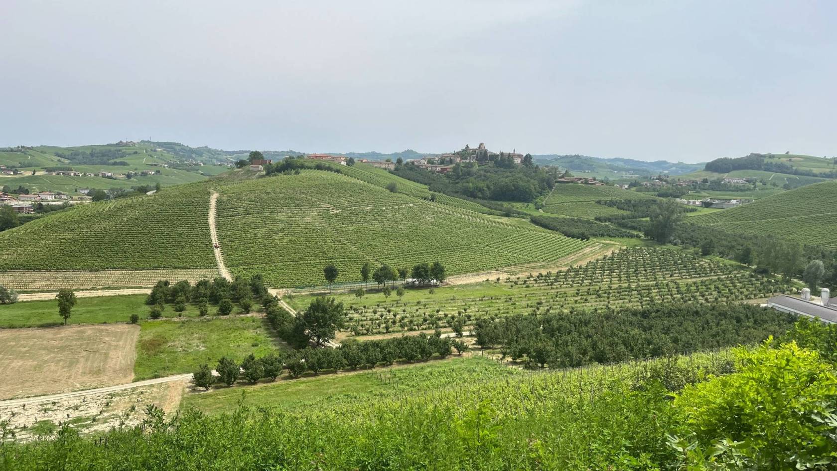 Vista Vista