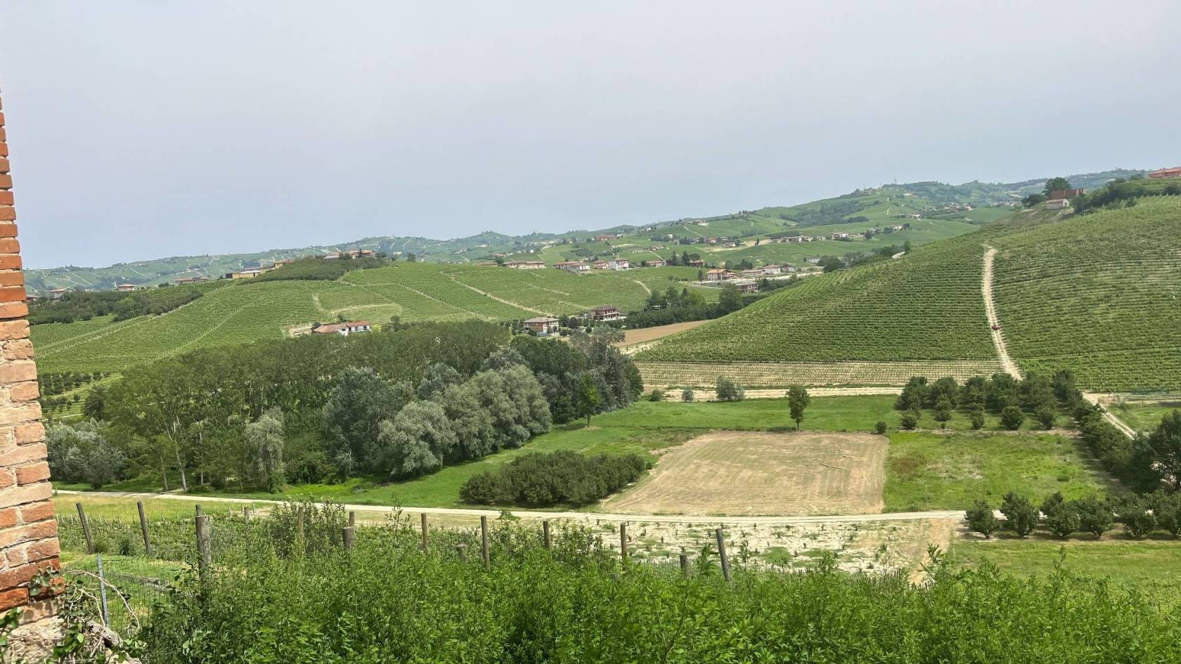 Vista Vista