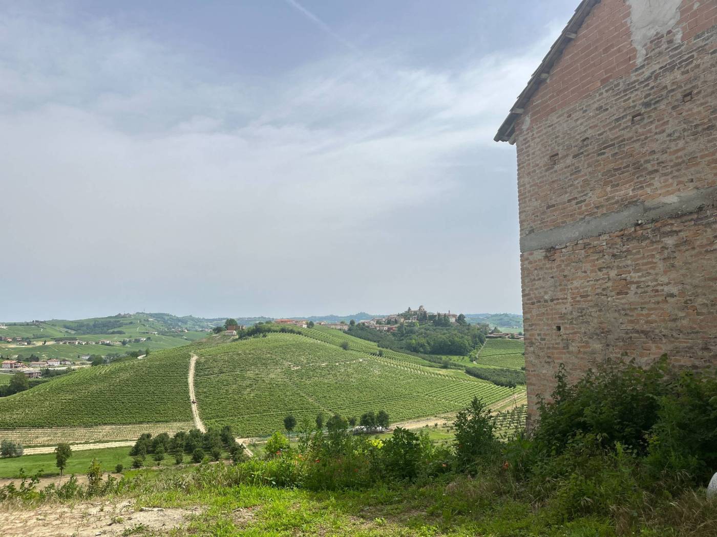 Vista Vista