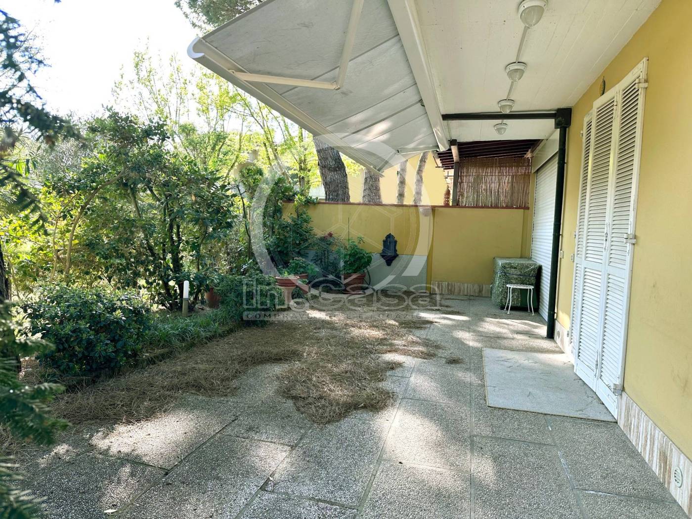 Giardino