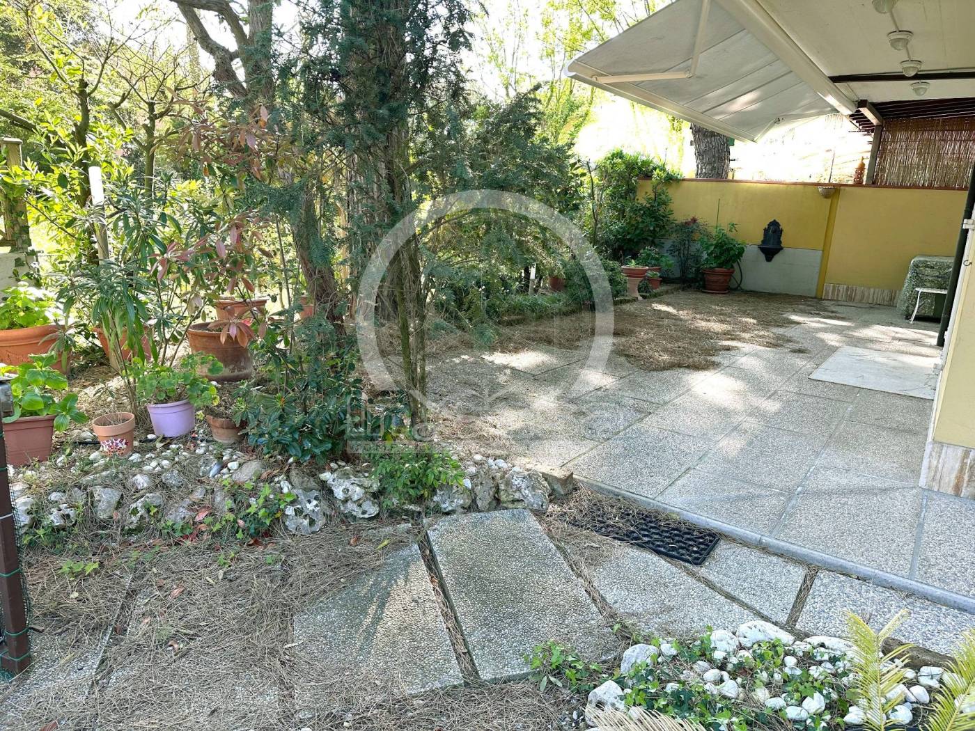 Giardino