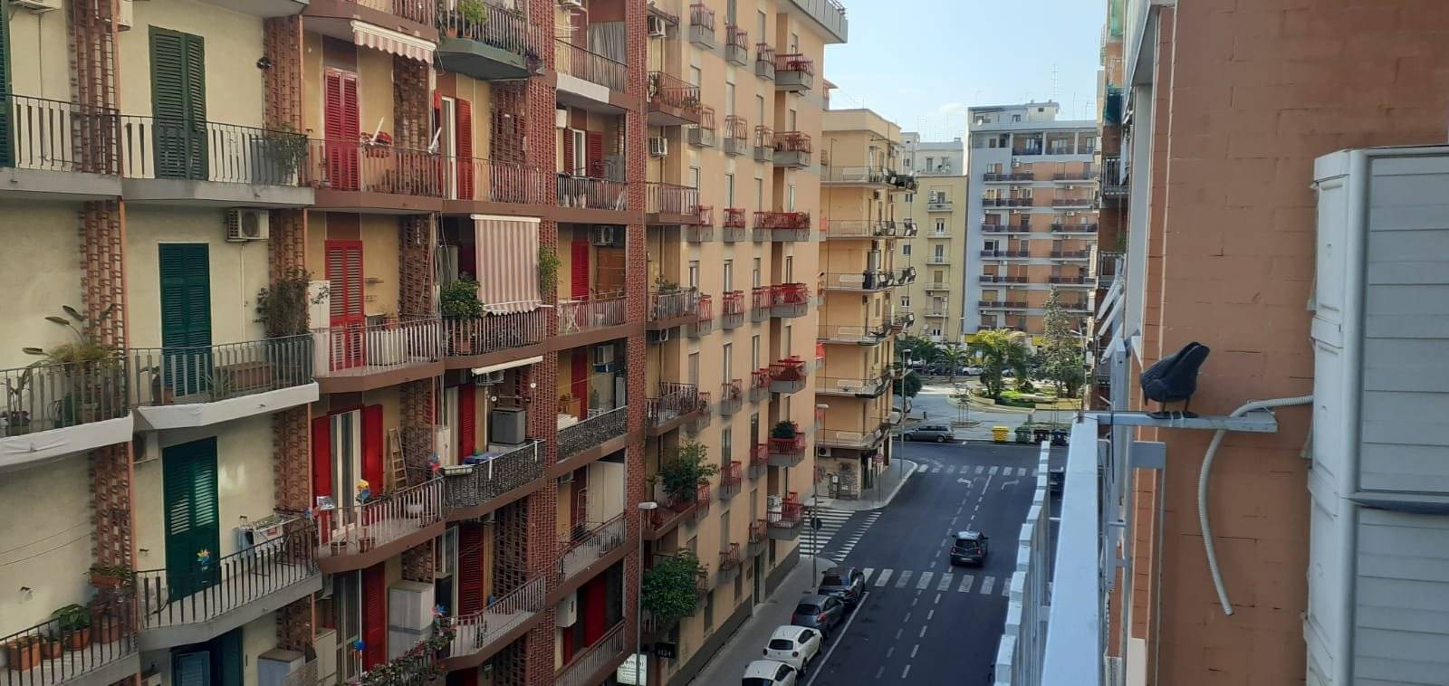 Vista