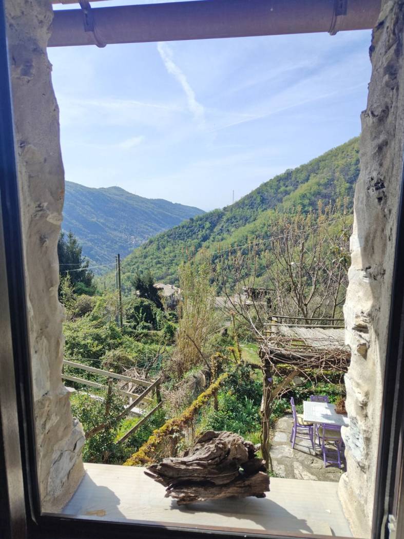 Vista