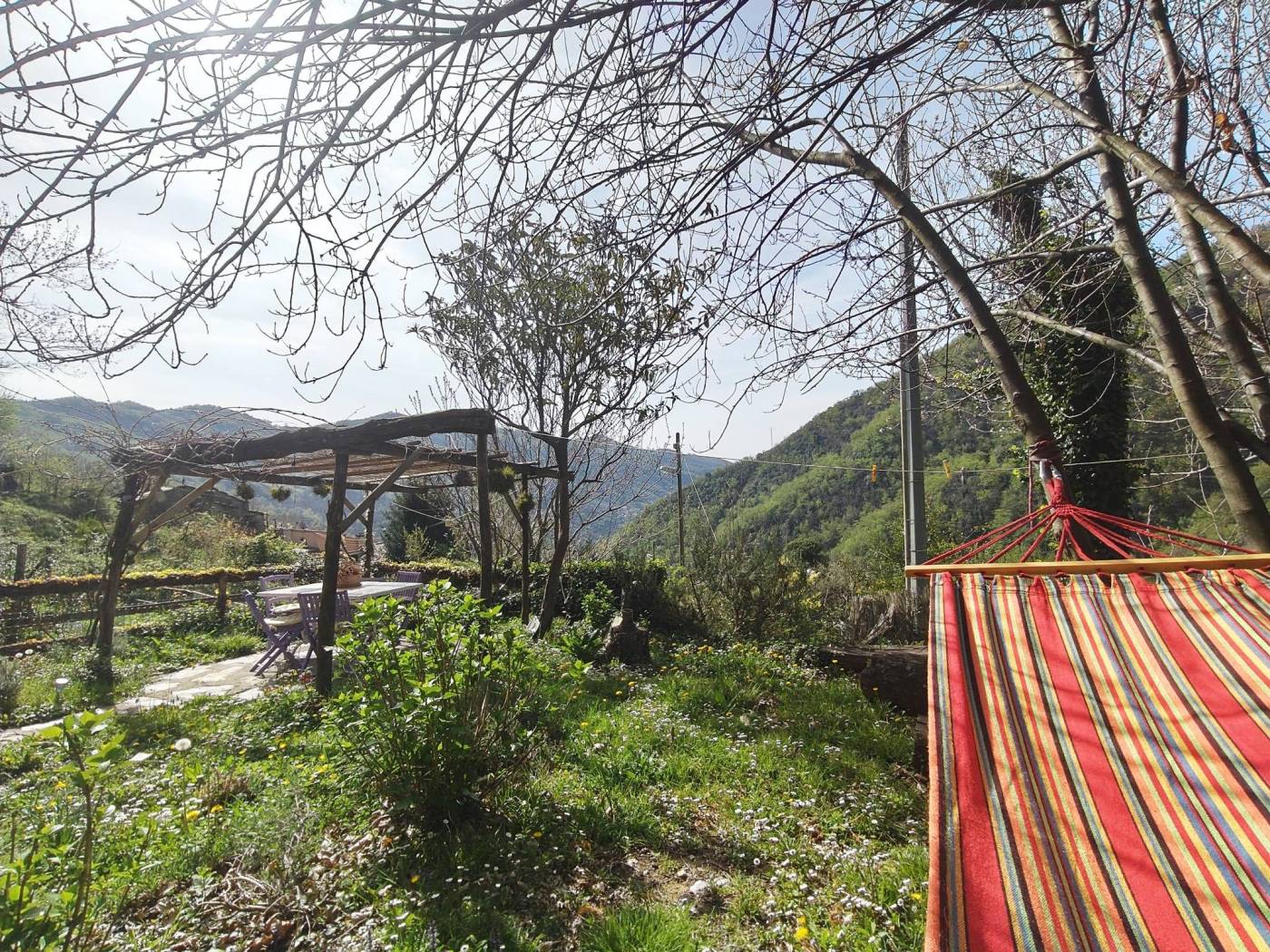 Giardino