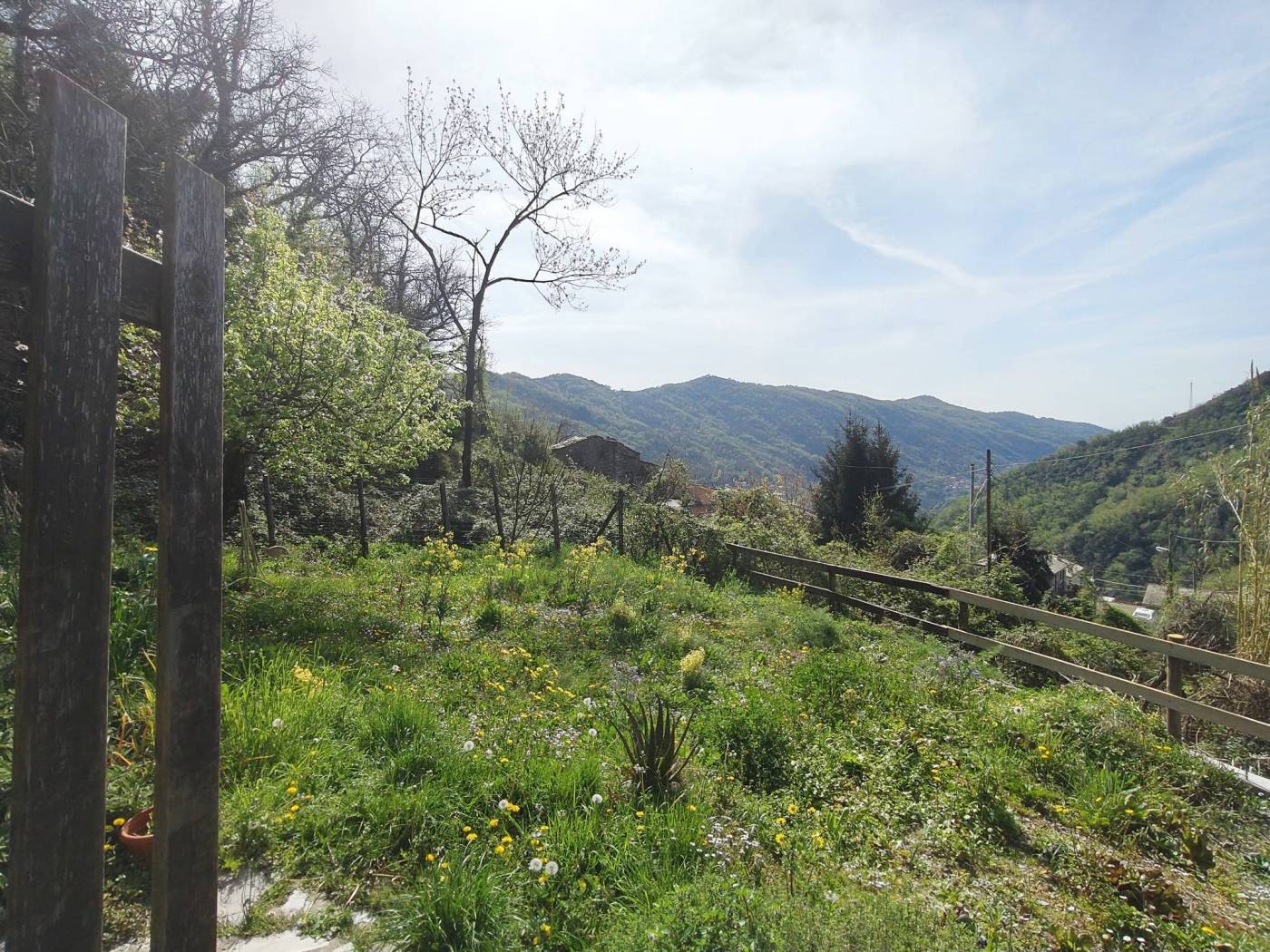 Terreno