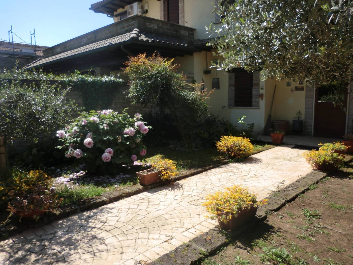 Giardino