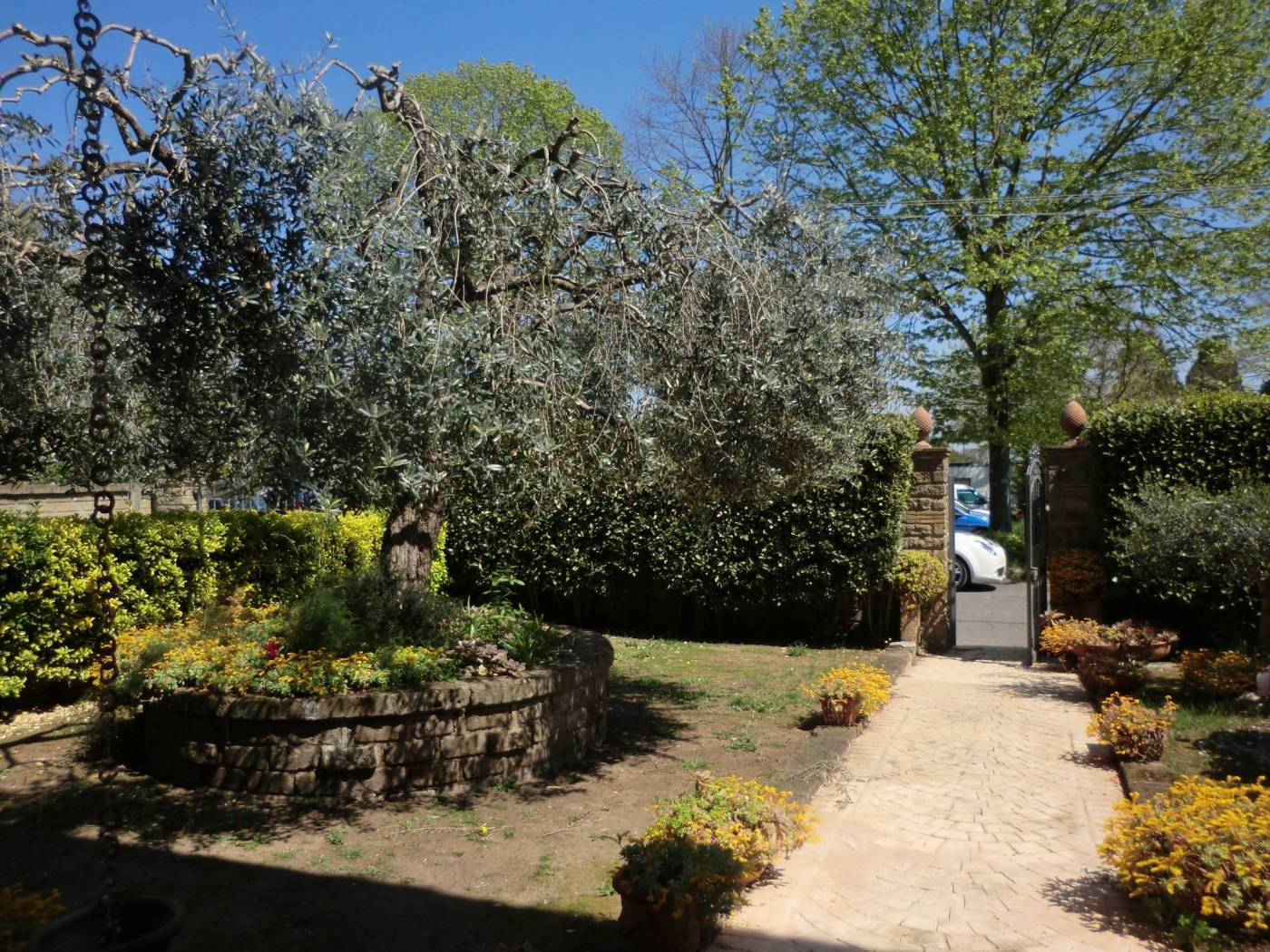 Giardino