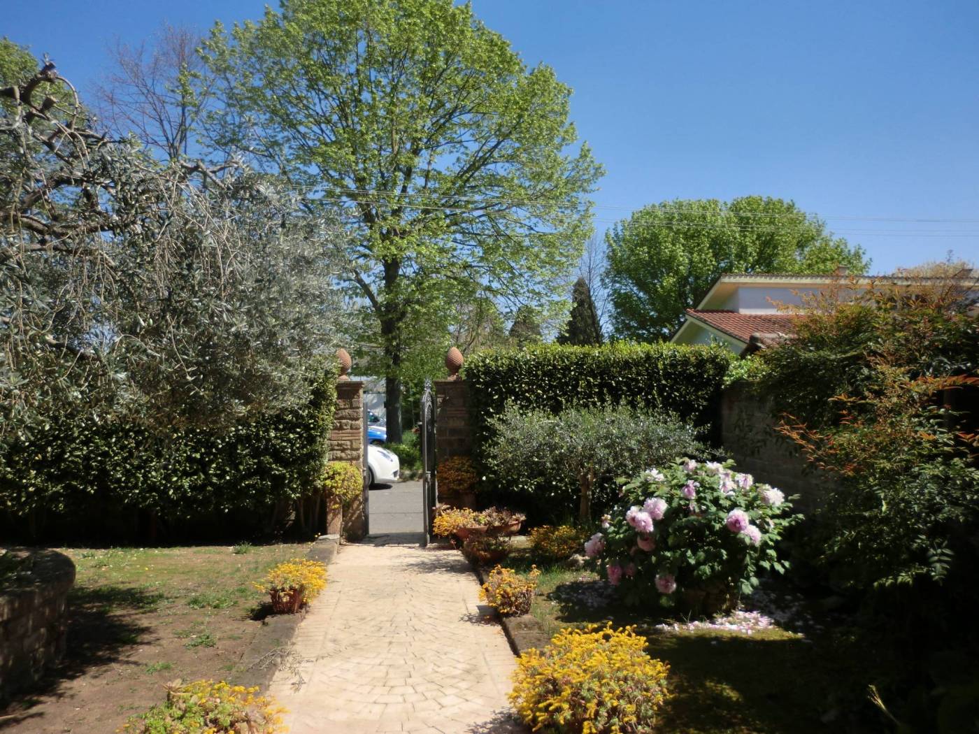 Giardino