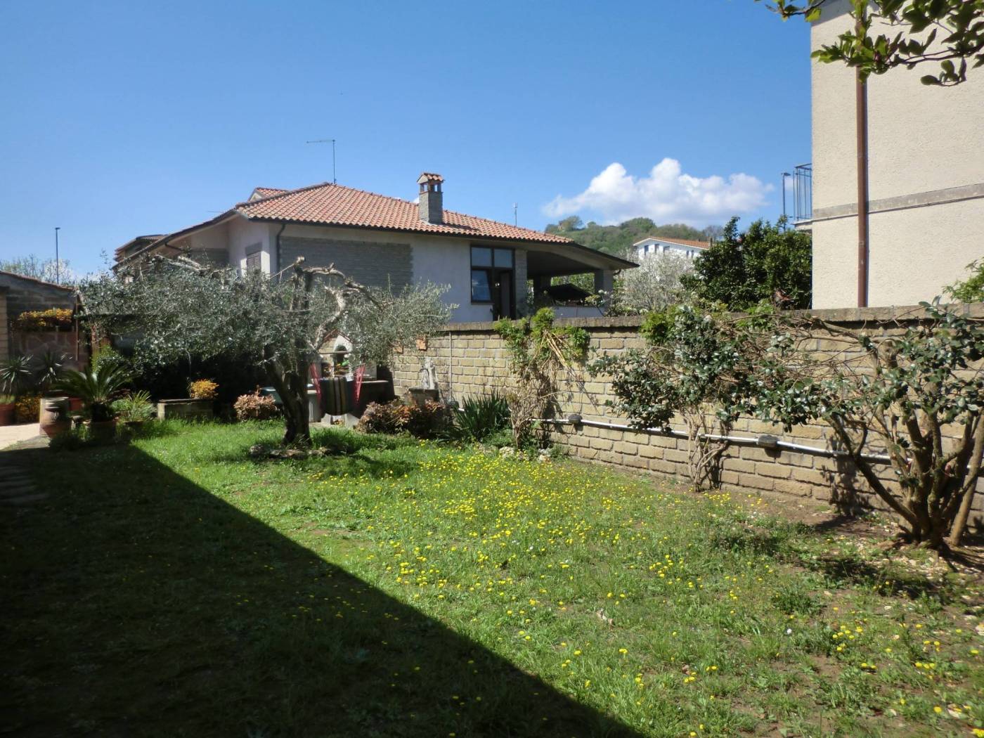 Giardino