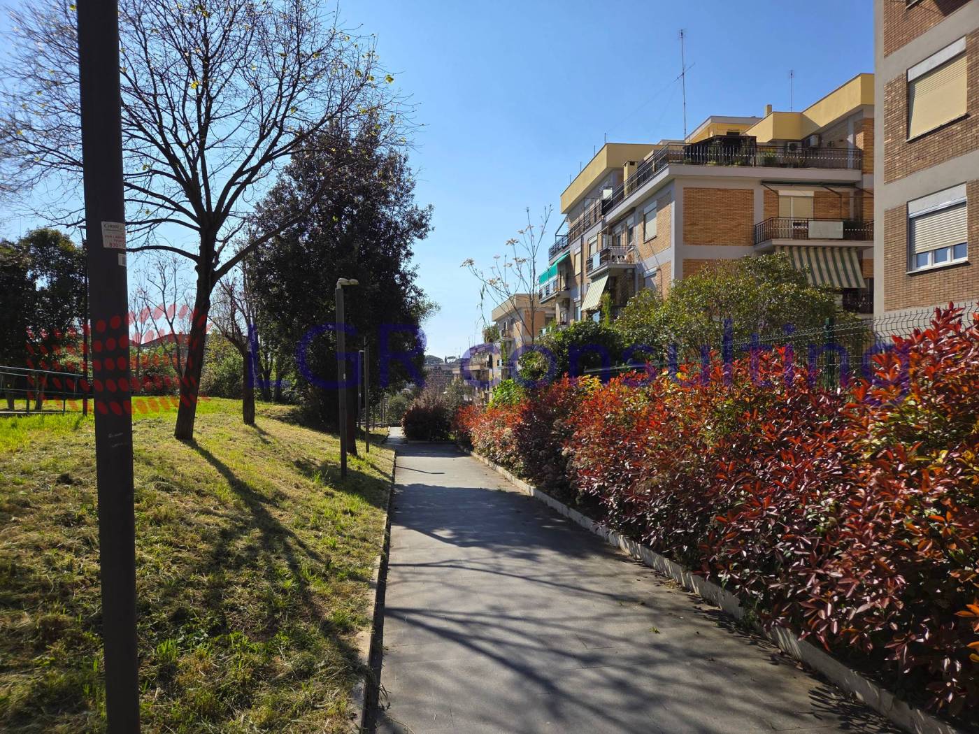 Zona