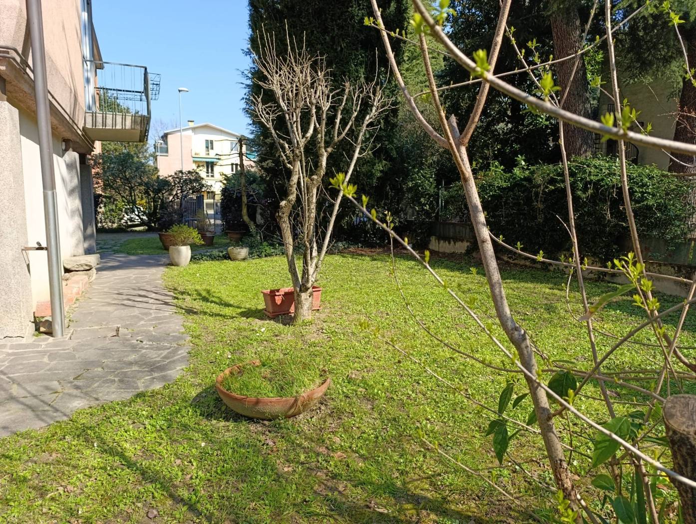 Giardino
