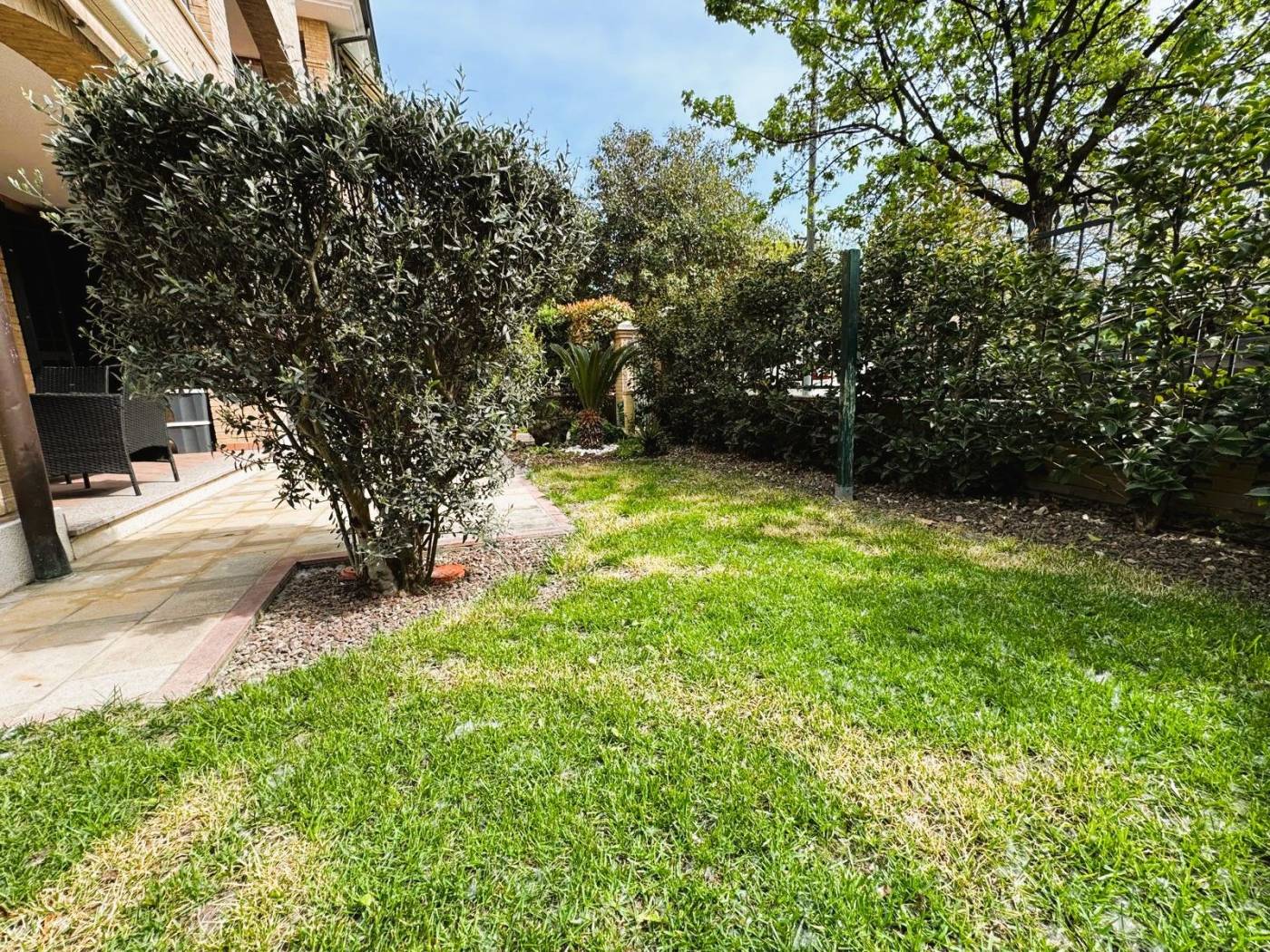 Giardino