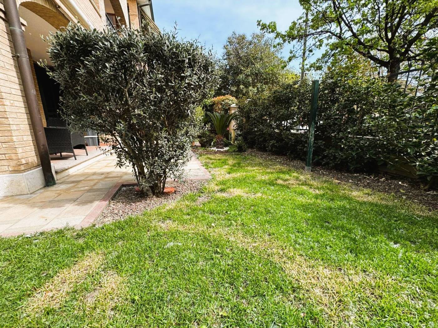 Giardino