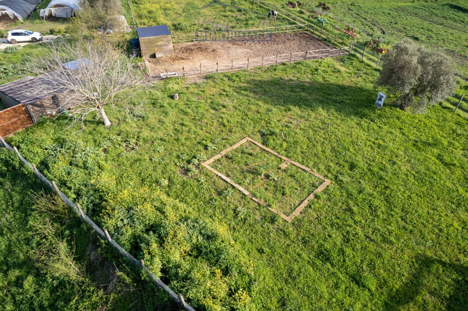 Terreno