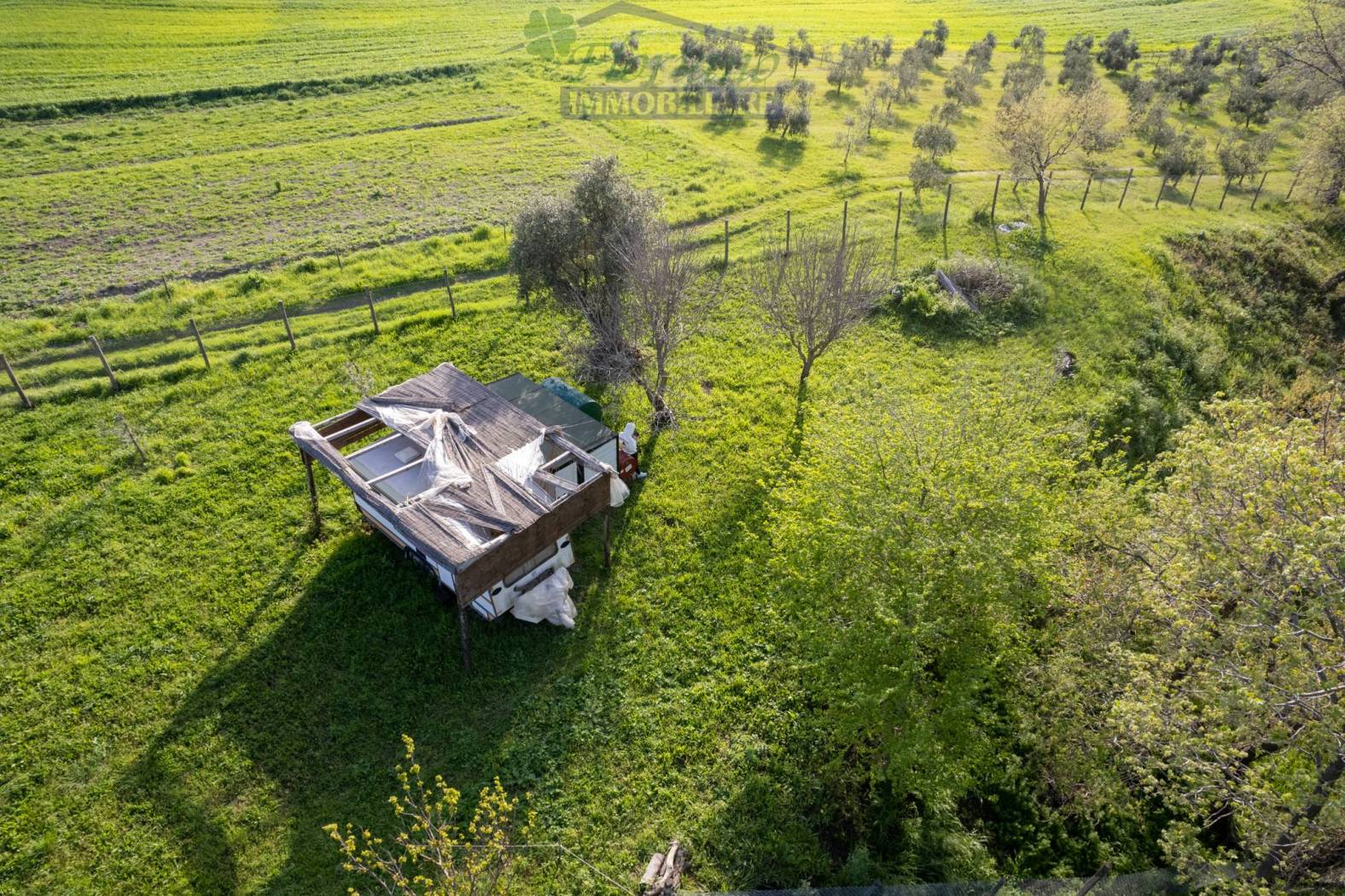 Terreno