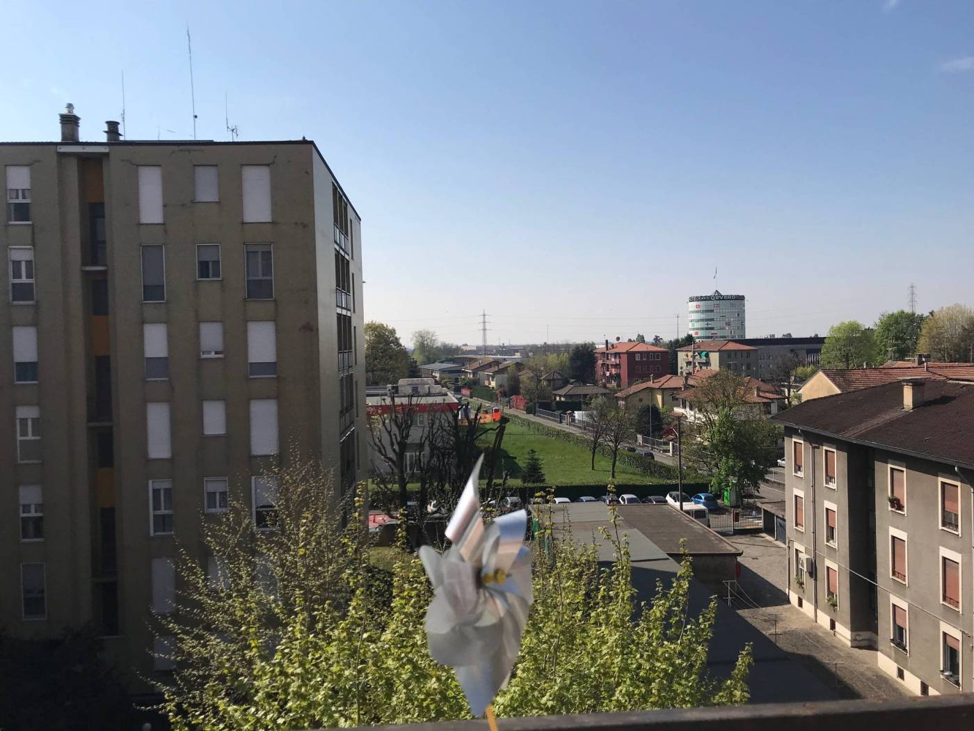 Vista