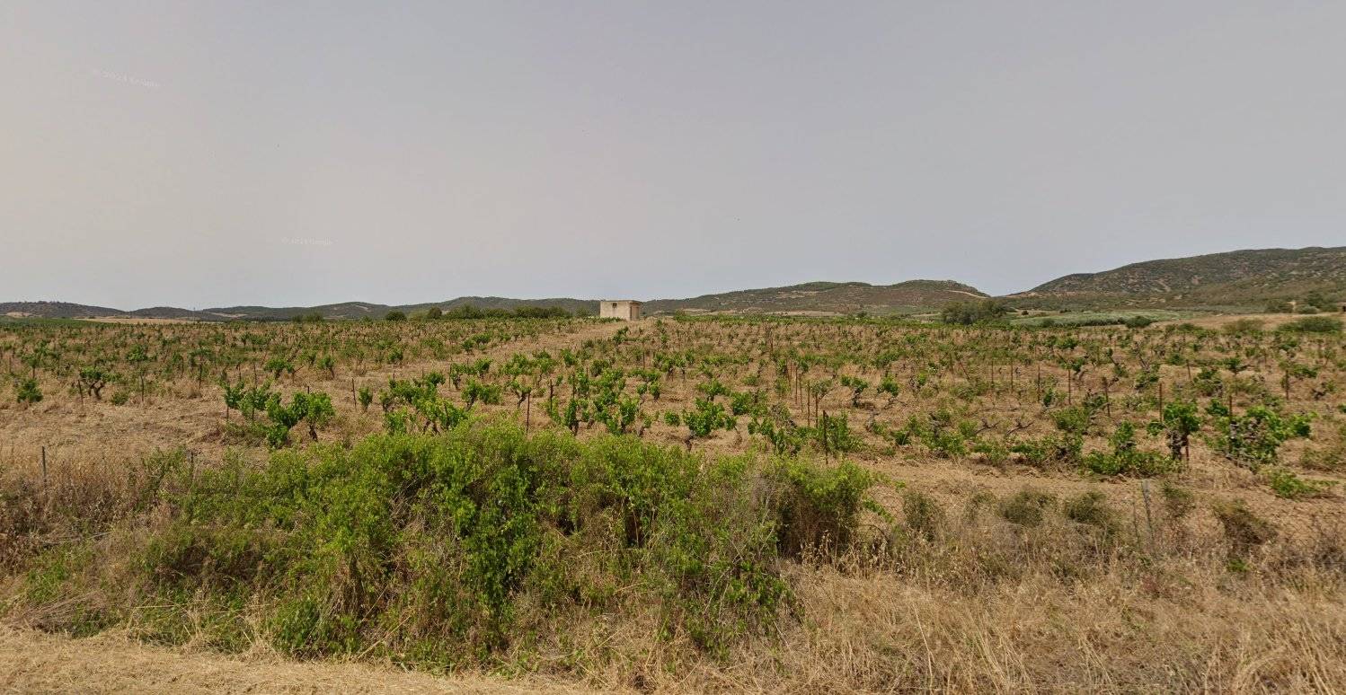 Terreno