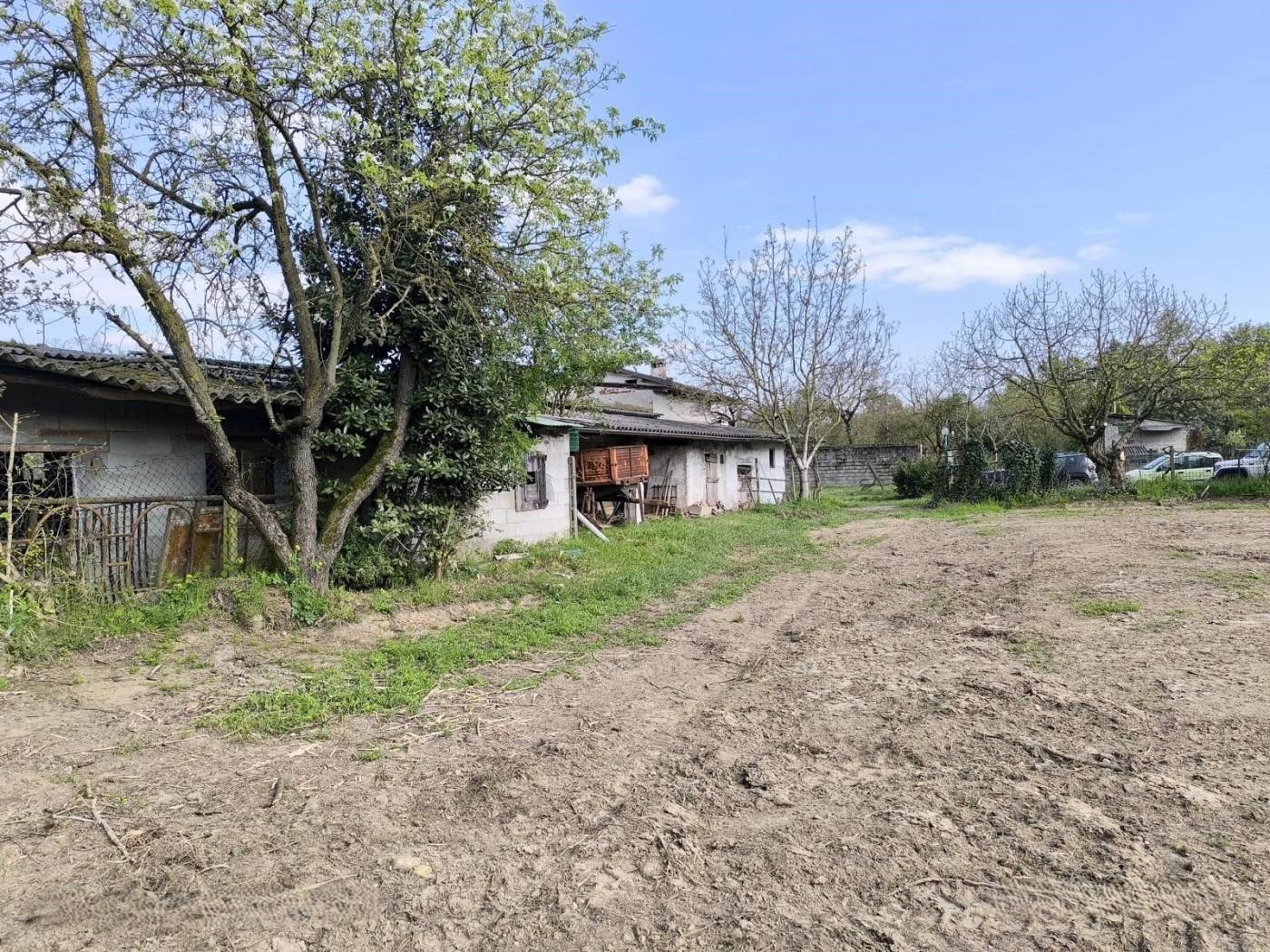 Terreno