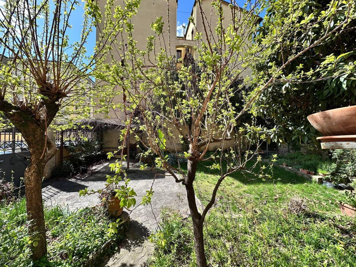 Giardino